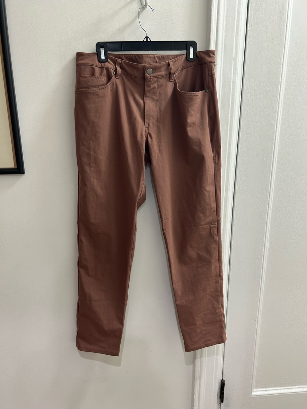 lululemon athletica Men's Zip Front Pants in Rust